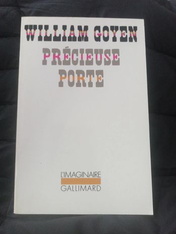 William Goyen - Précieuse porte