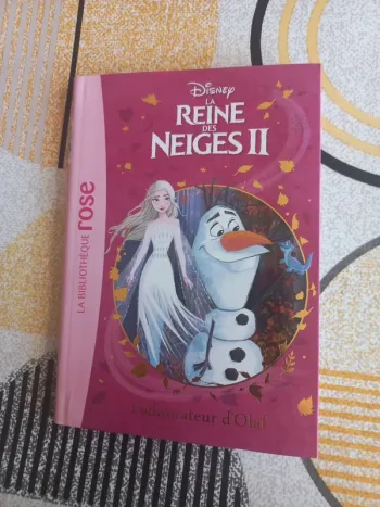 Bibliothèque rose La reine des neiges 2 tome 4
