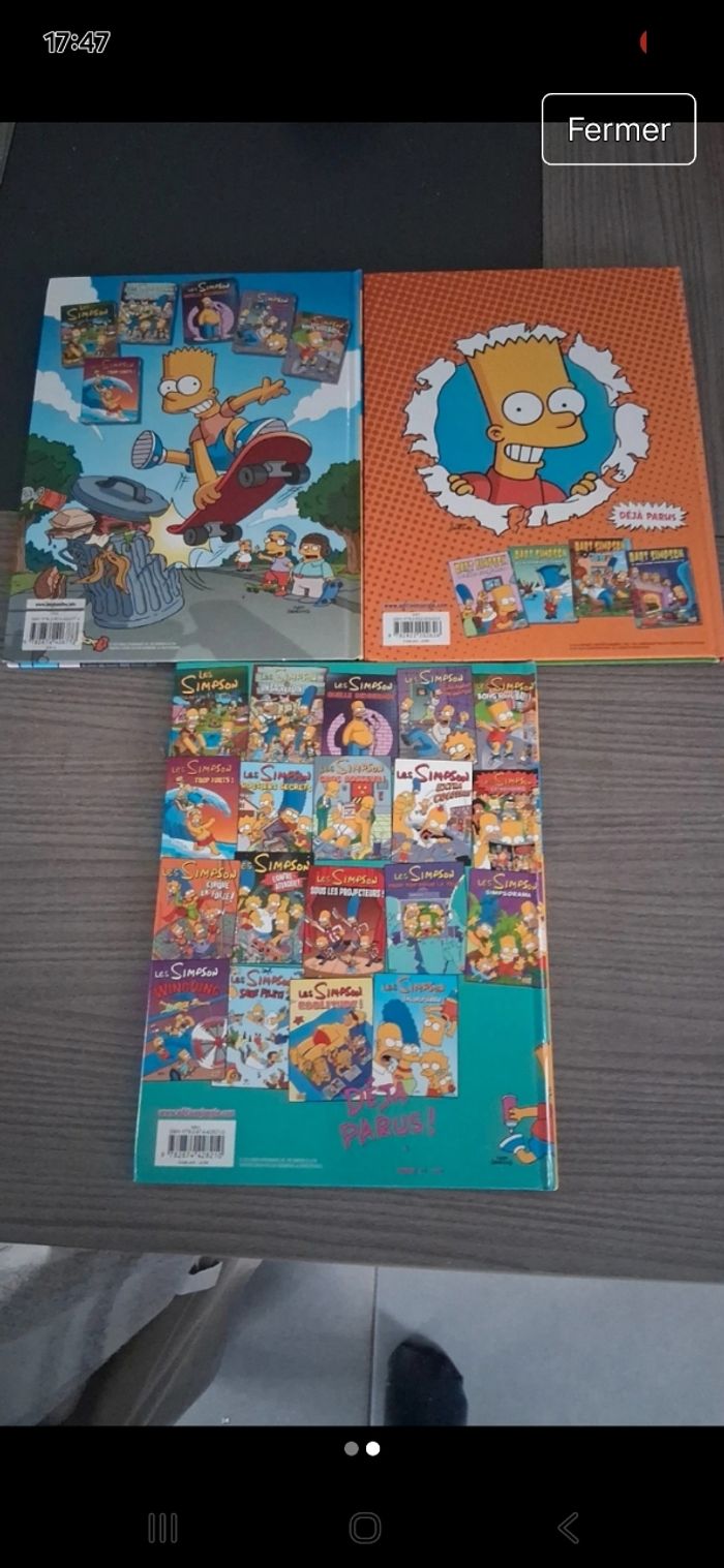 Bd Simpson - photo numéro 2