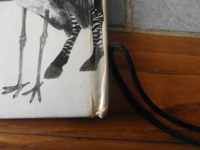 livre d'animaux - photo numéro 3