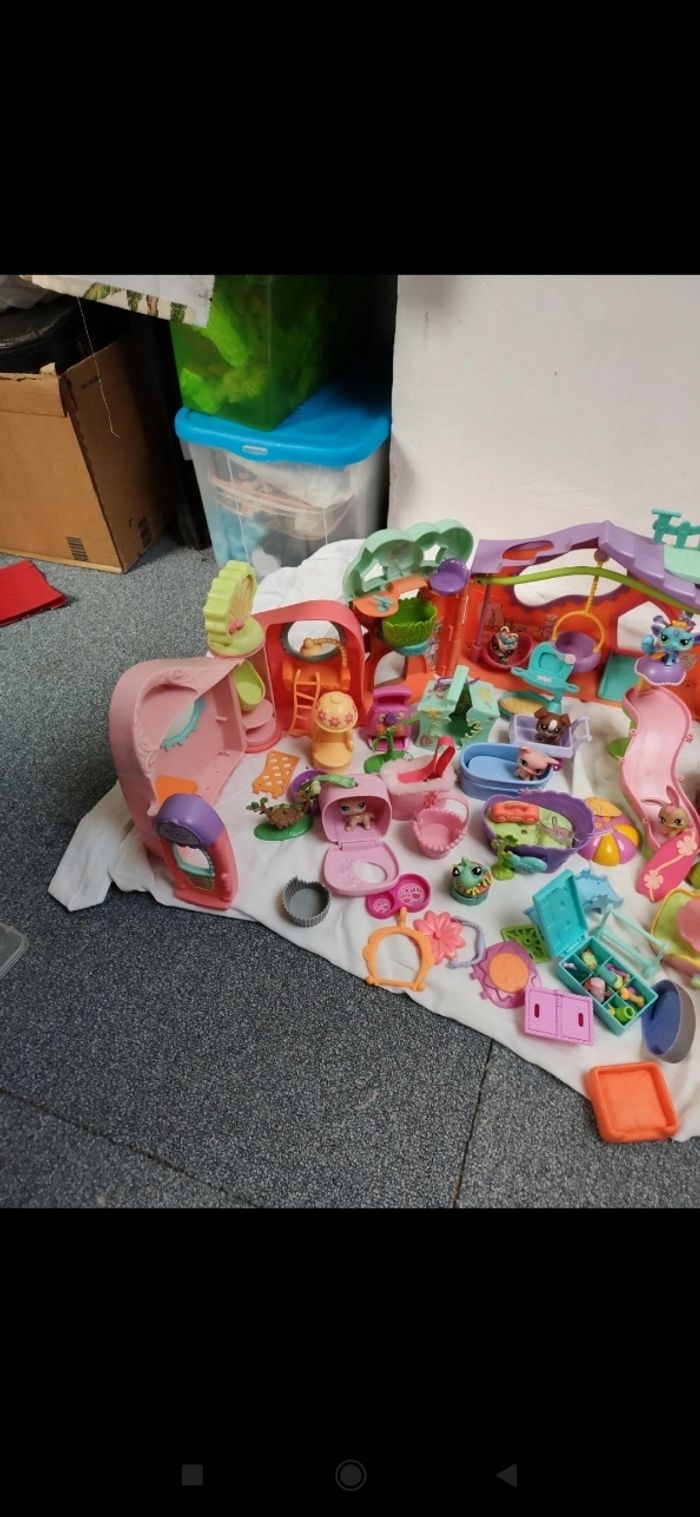 Pet shop - photo numéro 9