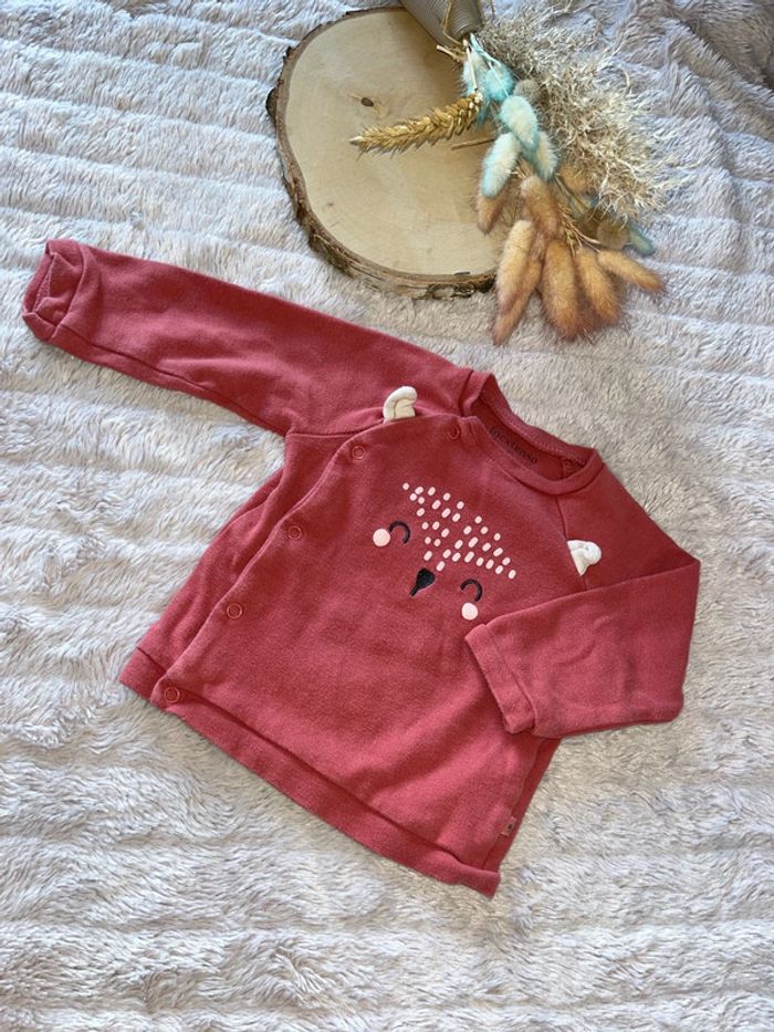 Pull in extenso 9 mois - photo numéro 3