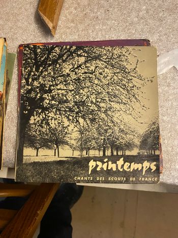 Vinyle printemps 