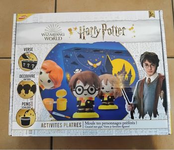 Moulage en plâtre Harry Potter 