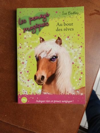 Les poneys magiques