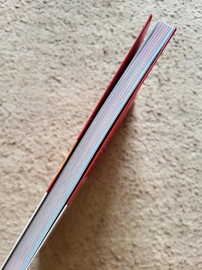 Livre de décoration Avant/Après Valérie Damidot - photo numéro 3