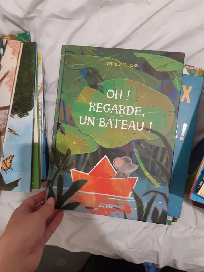 Immense lot de livres jeunesse - photo numéro 13