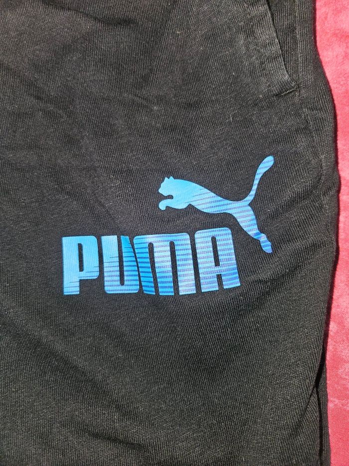 Short puma - photo numéro 2