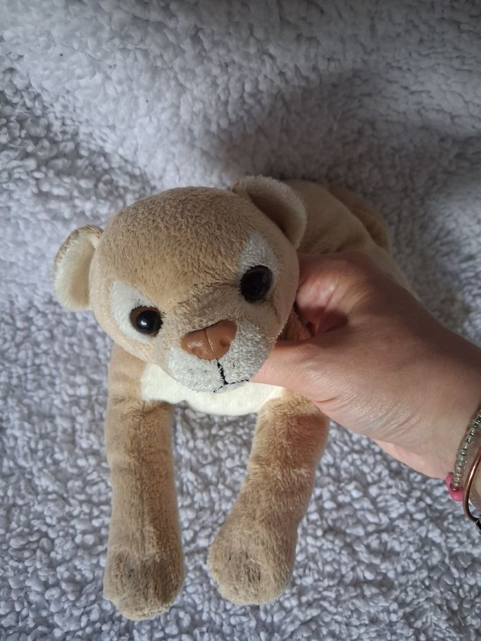 Peluches félins - photo numéro 2