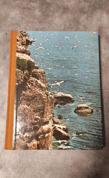 La vie fantastique des îles et des océans