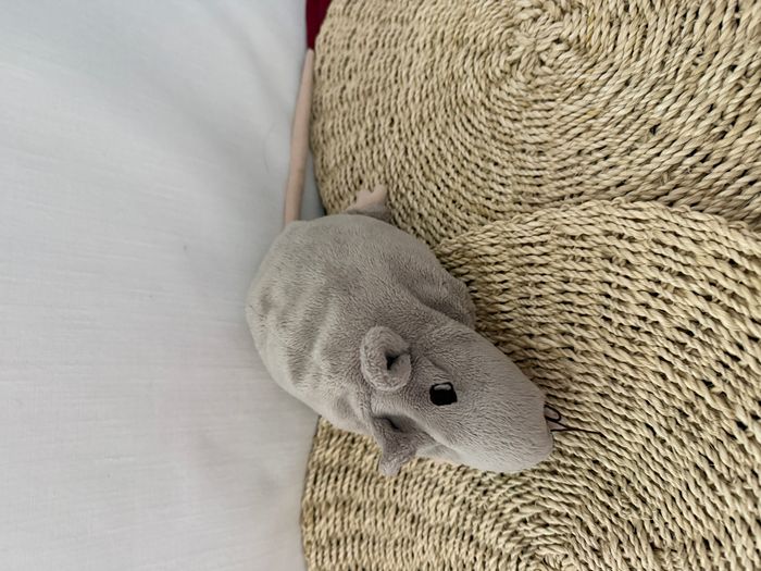 Peluche Doudou Rat Souris Grise - Gosig Ratta - IKEA - photo numéro 1
