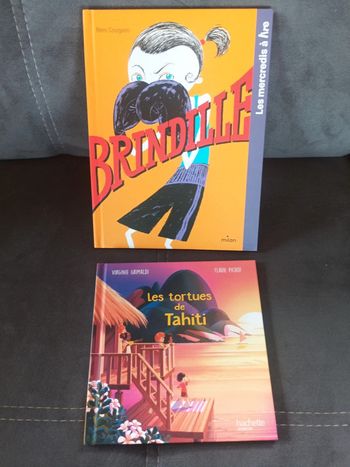 Lot de 2 Livres Mac Do Les tortues de Tahiti Merveilles de France + Brindille Mercredis à lire