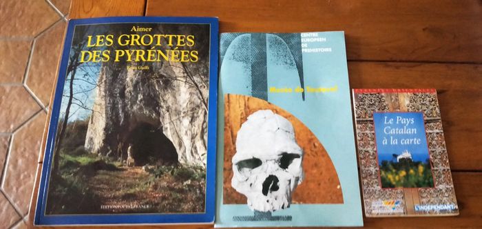 Lot livres Pyrénées