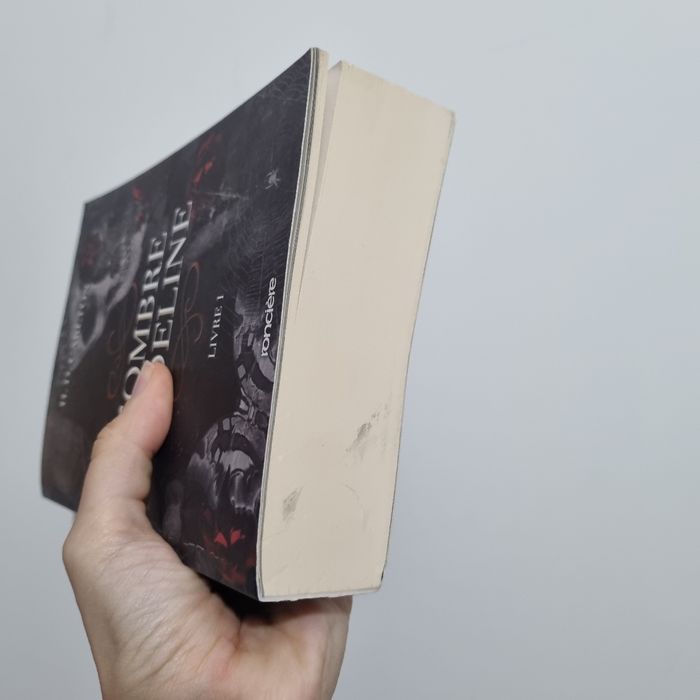 Box l'ombre d'Adeline et la Traque d'Adeline + Goodies - photo numéro 6