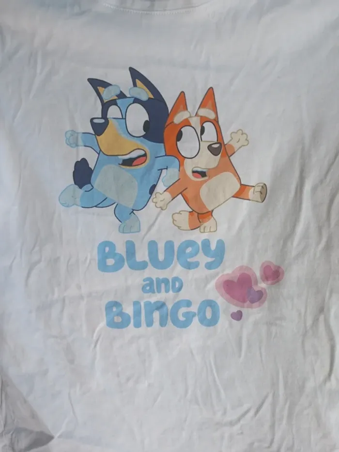 Tee shirt manches longues fille bluey - photo numéro 2
