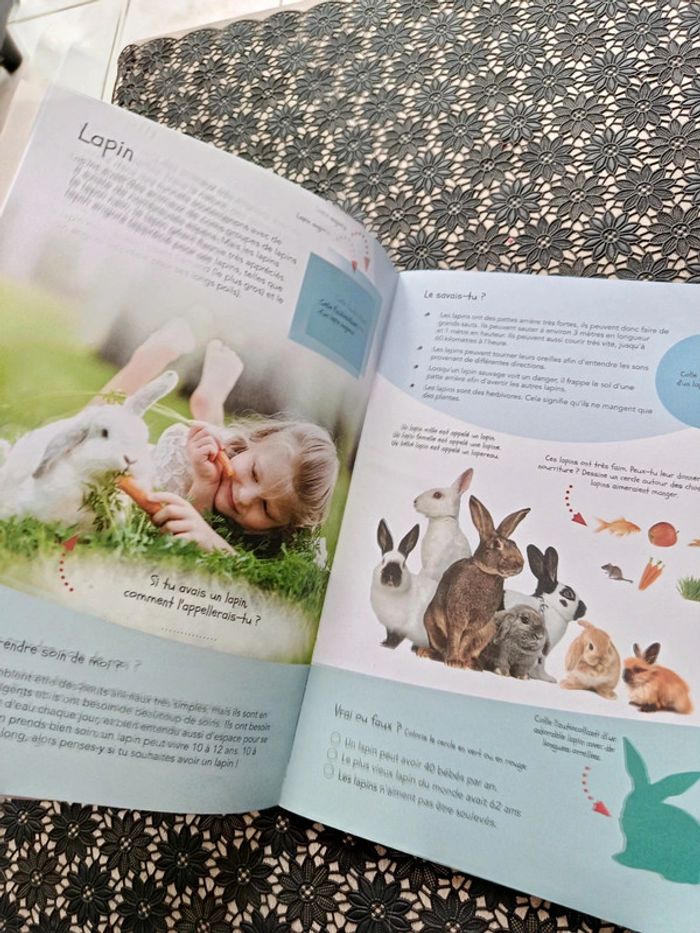 Cahier d'activités animaux de compagnie - photo numéro 2