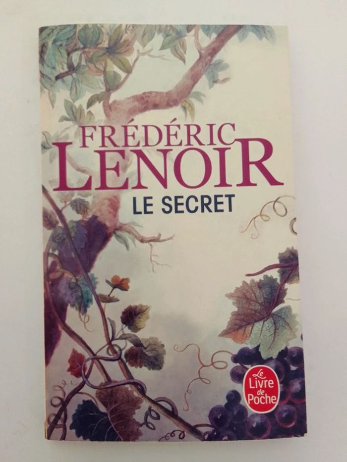 Frédéric Lenoir - Le secret