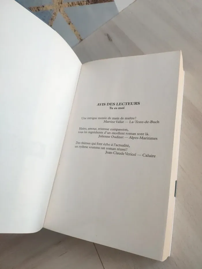 Livre grand format Tu es moi Permingeat - photo numéro 7