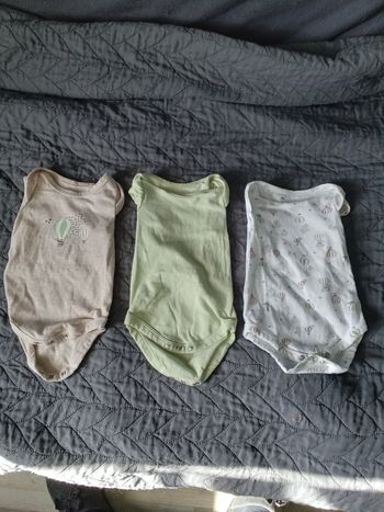 Bodies