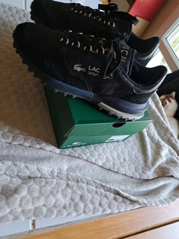 Chaussures lacoste taille 41 neuf - photo numéro 2