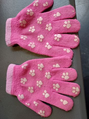 Gants pat'patrouille