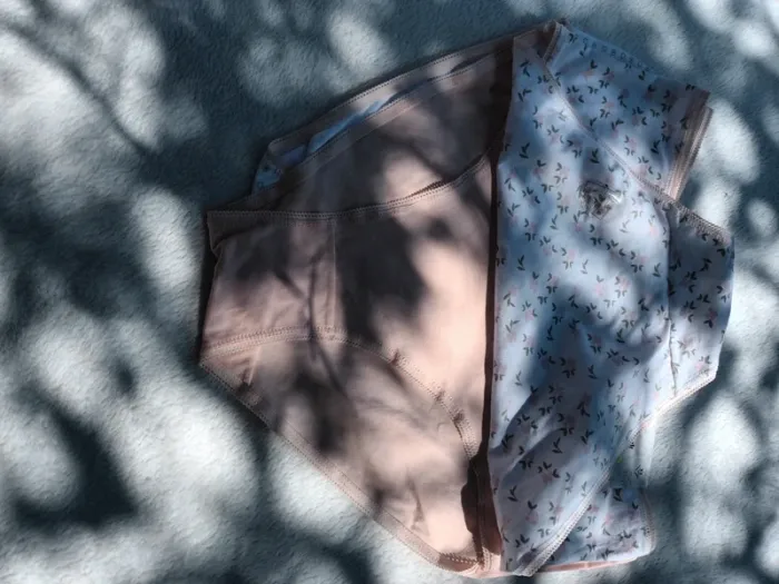Lot de 3 culottes taille xxl - photo numéro 2