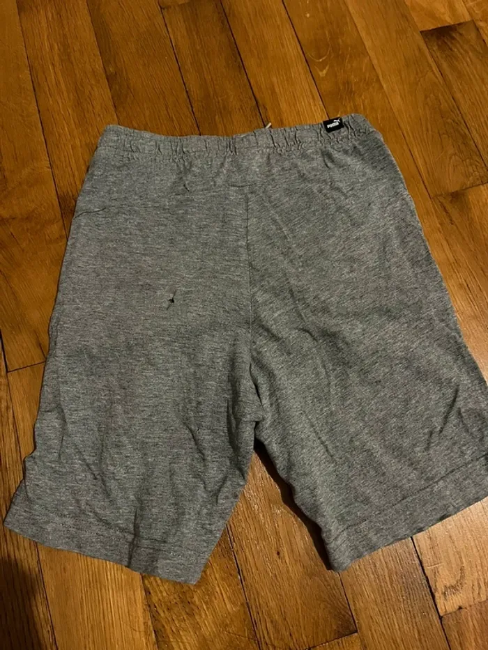 Short puma - photo numéro 3