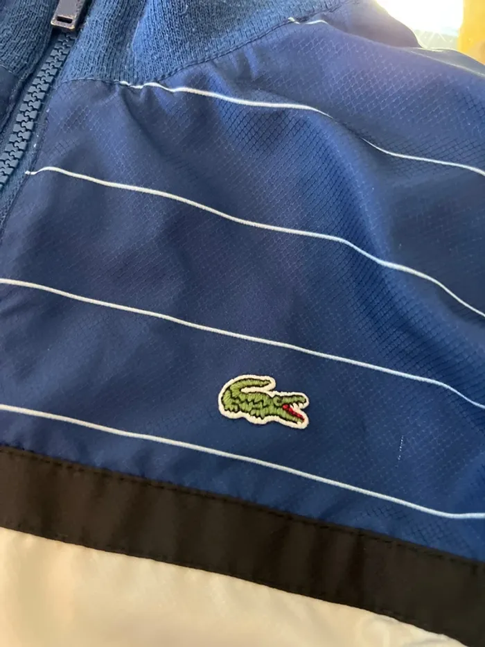 Veste Lacoste enfant - photo numéro 4