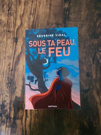 Livre : Sous ta peau, le feu