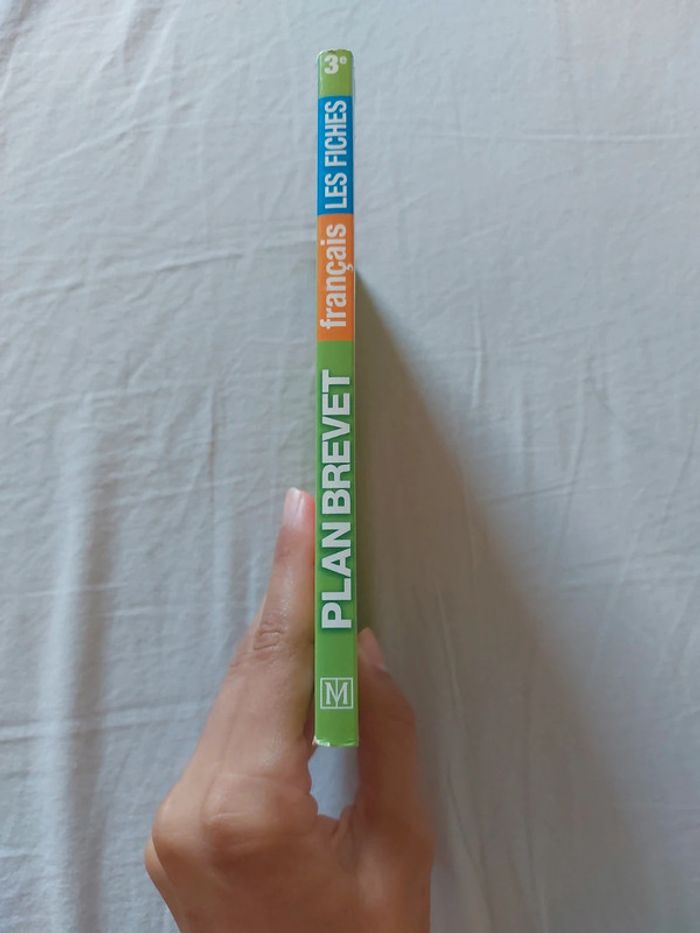 Livre fiche pour réviser le brevet de français - photo numéro 2