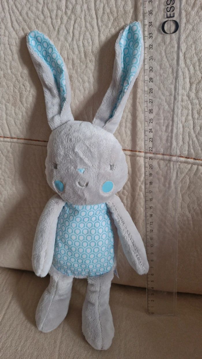 Lapin klorane oreilles et ventre bleu - photo numéro 2