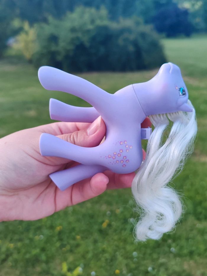 Petit poney g1 - flutter forget-me-not - photo numéro 9