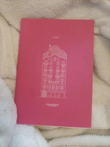 Cahier à pages blanches – Casa Batlló (souvenir Barcelone)