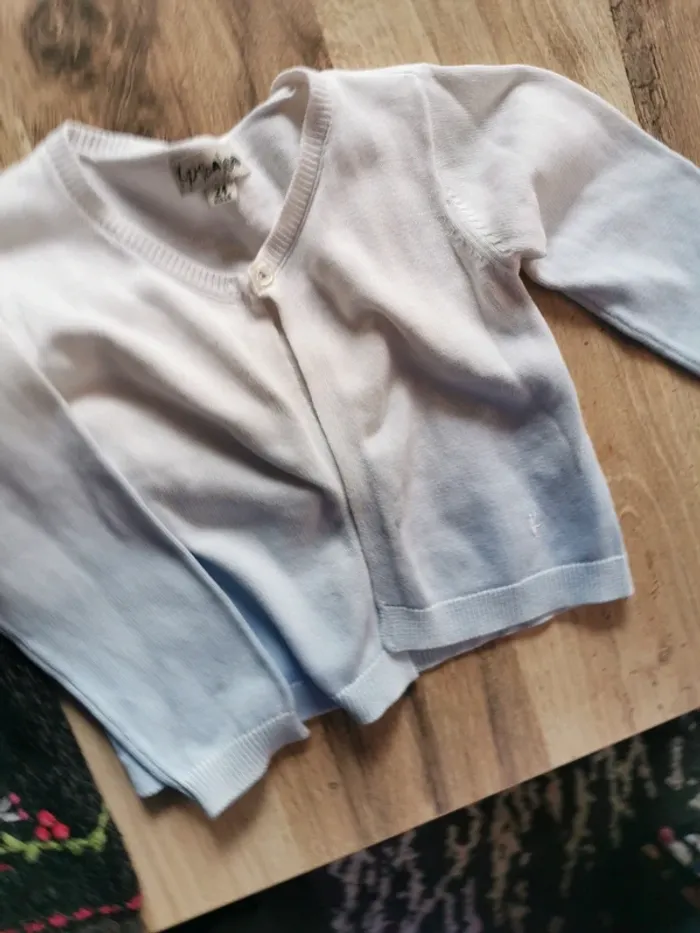 2 gilets - photo numéro 5