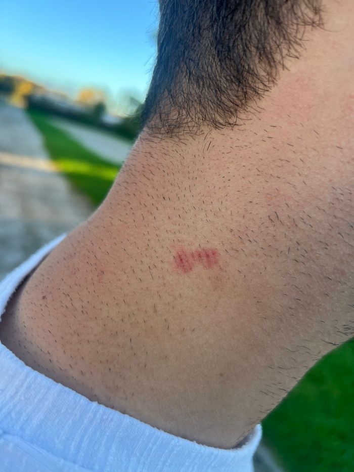 Adidas gazelle noires - photo numéro 3