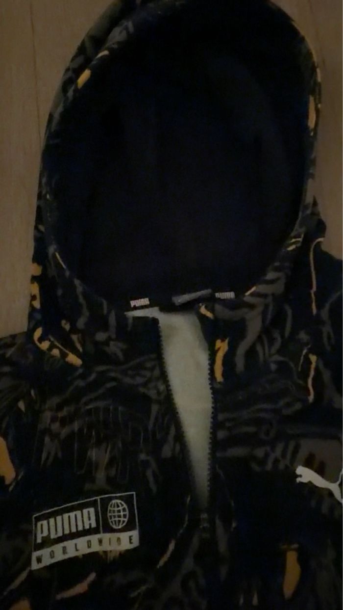 Sweat à capuche Puma