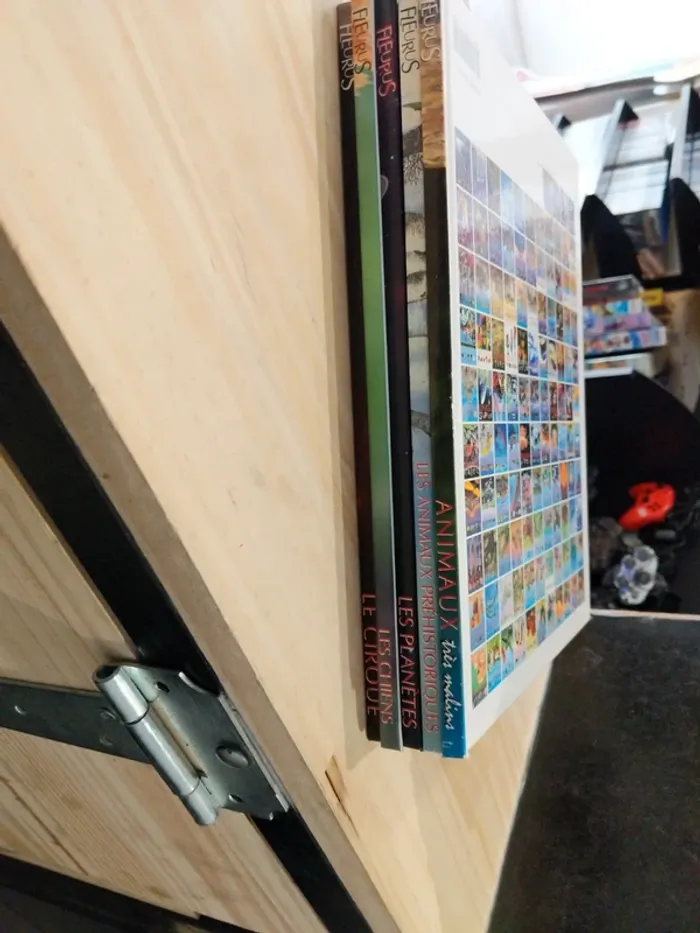 Lot de livres - La Grande Imagerie Fleurus - photo numéro 7