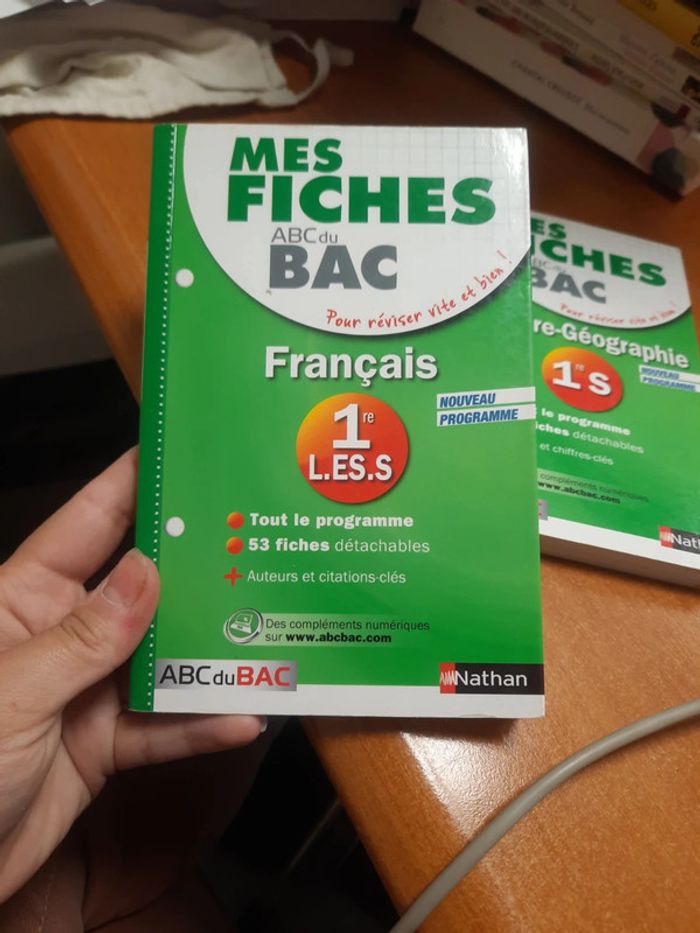 Fiche bac français