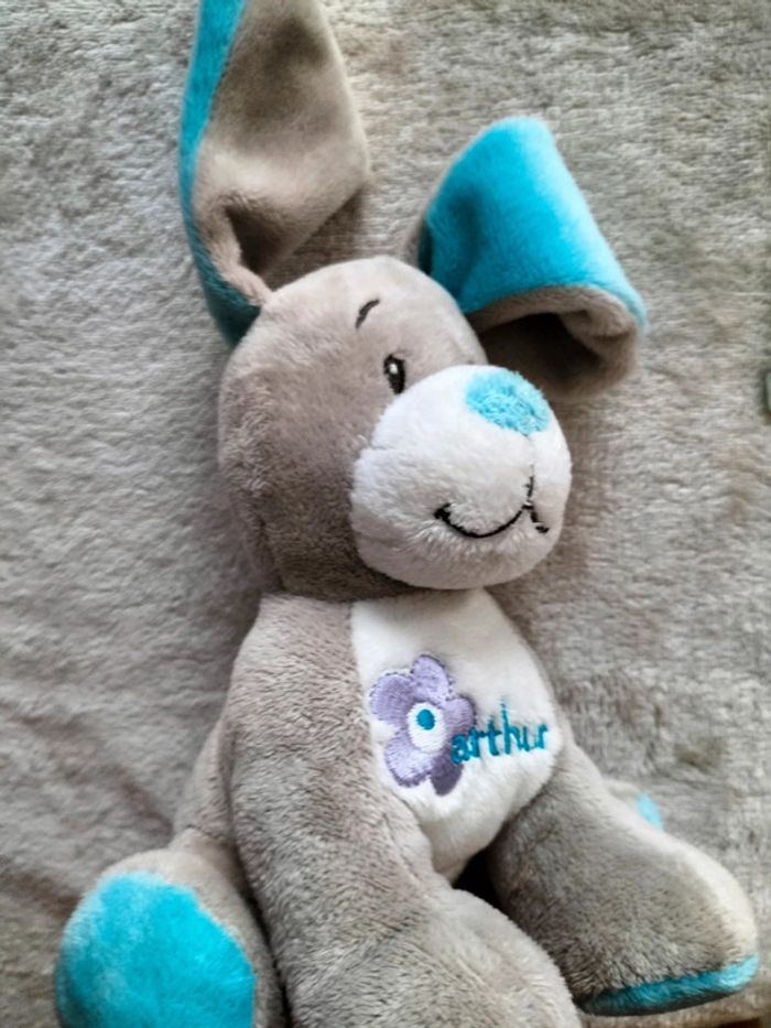 Chien de la collection Arthur et Lola