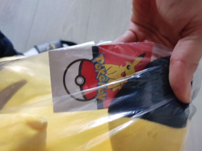 Pokémon Pikachu - photo numéro 3