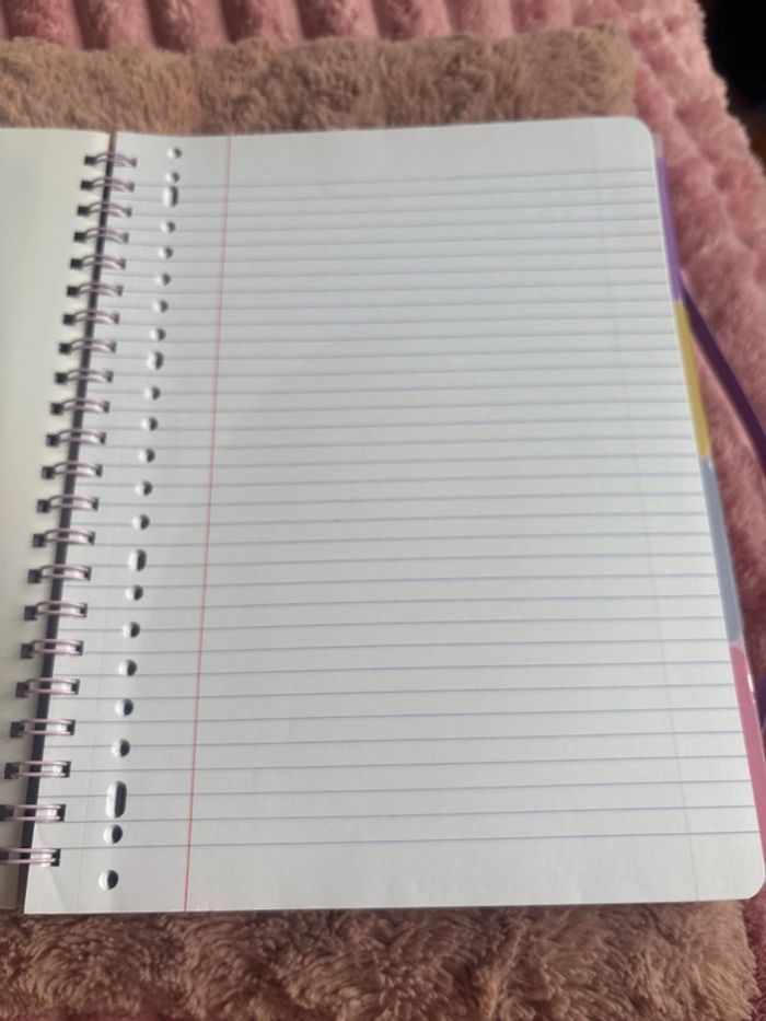 Cahier - photo numéro 3