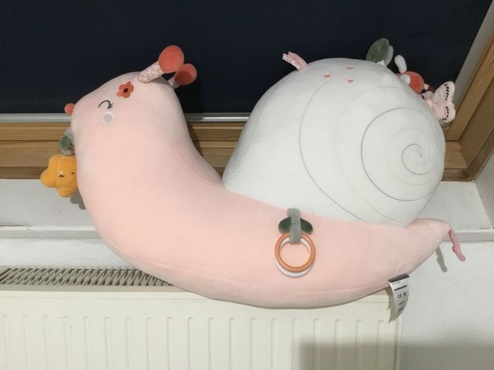 Escargot d eveil - photo numéro 5