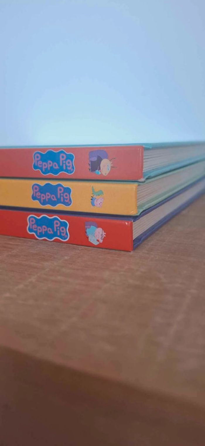 Lot de 3 livres cartonnés - photo numéro 3