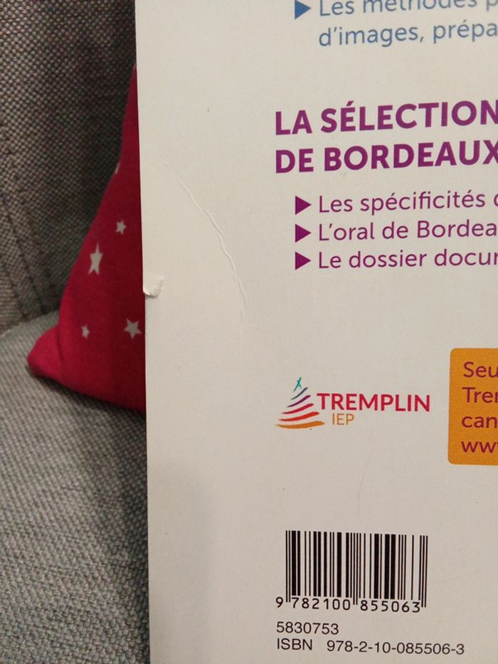 Tremplin Sciences PO Paris, Bordeaux et Grenoble - photo numéro 3