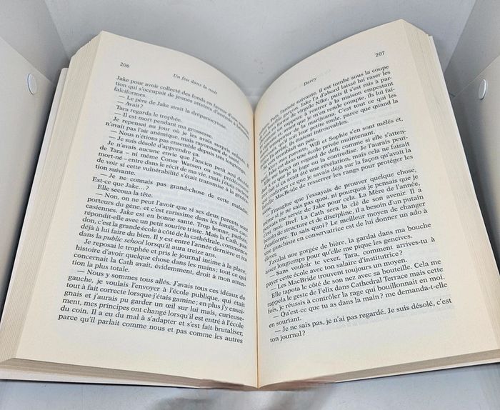 "Un feu dans la nuit", de Erin Kelly.
384 pages.
ISBN : 978.2.7096.4287.3 - photo numéro 4