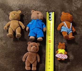 Famille ours brun marron