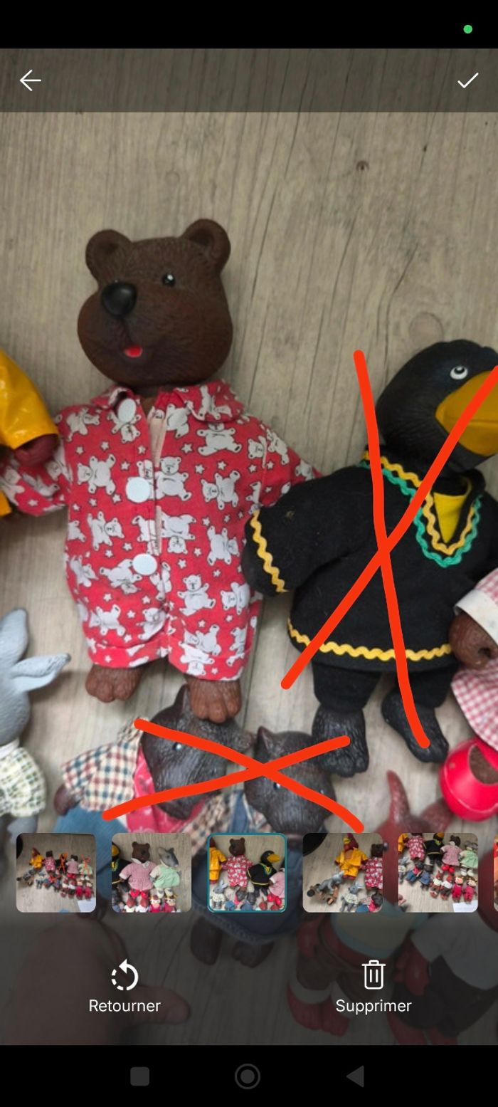 Copain de la forêt - photo numéro 3