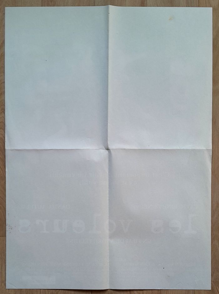 Affiche film cinéma Les voleurs de André Téchiné - photo numéro 5