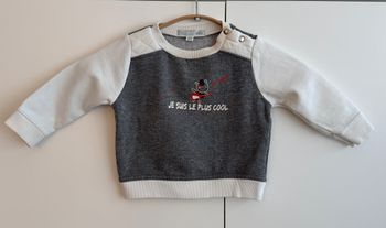 Pull Mes petits cailloux, taille 6 mois