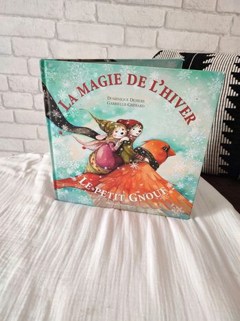 Livre la magie de l'hiver le petit gnouf
